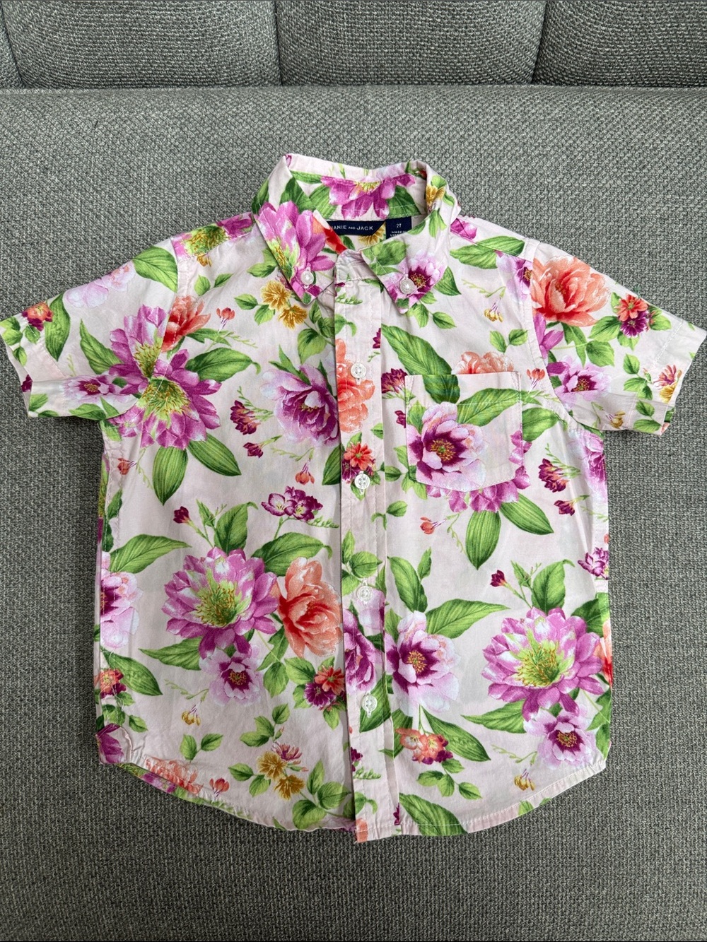 Janie and Jack Boy’s Floral Button-Up Shirt - Pink & Green